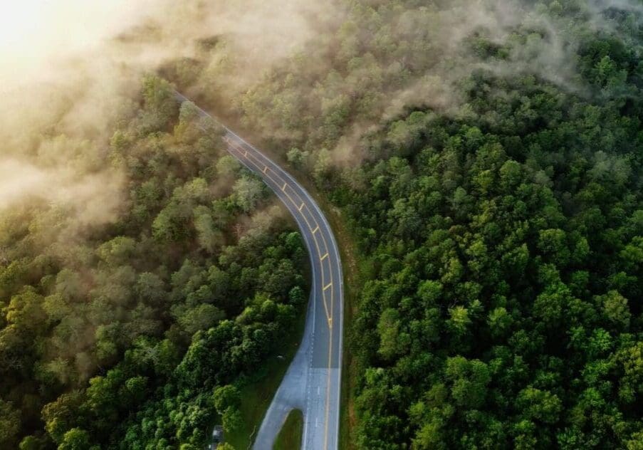 aerial photo of green forest road depicting a business roadmap to reducing carbon